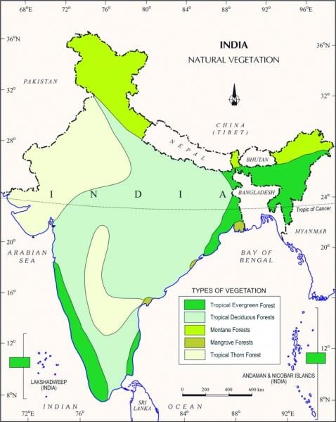 mapa мангровый las w Indiach