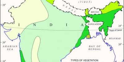 Mapa мангровый las w Indiach
