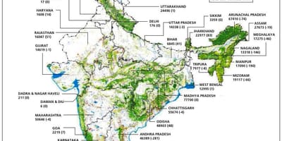 Mapa lasów Indii